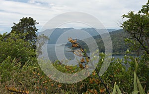 Te Urewera National Park