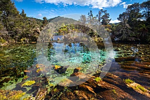 Te WaikoropupÅ« Springs