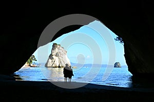 Te Whanganui-A-Hei (Cathedral Cove) Marine Reserve