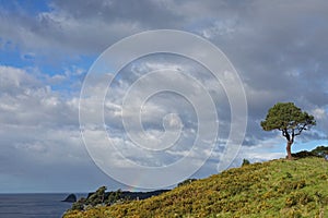 Te Whanganui a Hei Marine Reserve in New Zealand