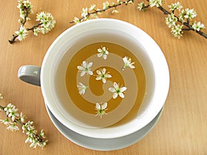 Tea with blackthorn flowers