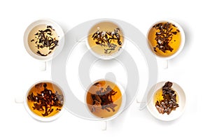 Tea Brewing Process in White Cup Isolated, Stages of Brewing Black Tea, Brew Ceremony, White Background