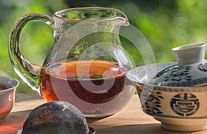 Tea ceremony in nature