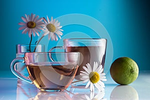 Tea with chamomile tea, on a blue background in a glass transparent cup