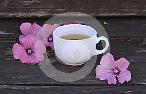 Tea or a cold-prepared macerate of flowers Malva mauritiana.