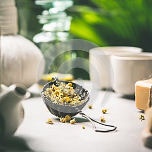 Tea composition on tropical leaves background