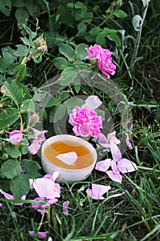 Tea in country style in summer garden