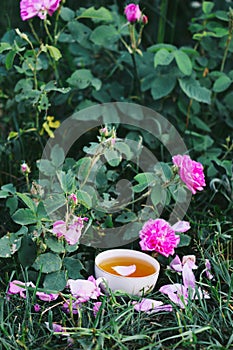 Tea in country style in summer garden