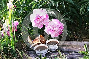 Tea in country style in summer garden in the village. Two cups of black tea and pancakes on wooden boards and blooming peony