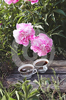 Tea in country style in summer garden in the village. Two cups of black tea on wooden boards and blooming peony flowers in