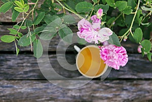 Tea in country style in summer garden in the village. Vintafe cup of green herbal tea on weathered wooden boards and blooming pink
