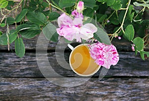 Tea in country style in summer garden in the village. Vintafe cup of green herbal tea on weathered wooden boards and blooming pink