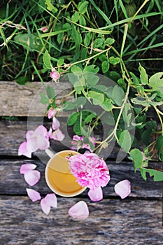 Tea in country style in summer garden in the village. Vintafe cup of green herbal tea on weathered wooden boards and blooming pink