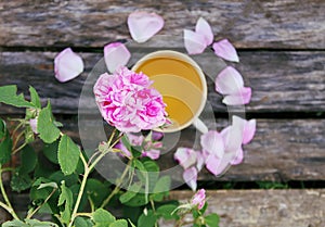 Tea in country style in summer garden in the village. Vintafe cup of green herbal tea on weathered wooden boards and blooming pink