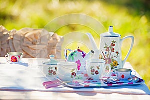 Tea crockery in the garden