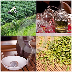 Tea culture and degustation collage photo