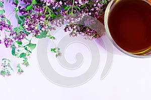 Tea in cup with bouquet of oregano in selective focus on white background with copy space