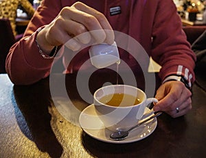 the tea cup, filled with a fragrant brew