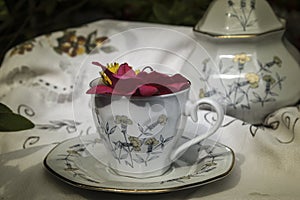 Tea cup with flowers inside, for refreshments in the garden