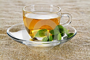 Tea cup with fresh mint leaves