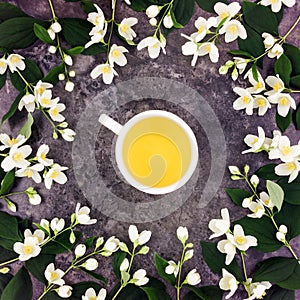 Tea cup with green tea and jasmine flowers on stone background. Top view, flat lay