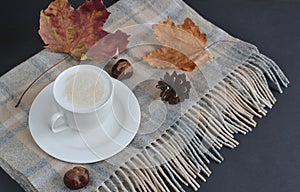 Tea Cup Hot Coffee Cappuccino Autumn Time