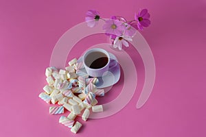 Tea cup with marshmallow