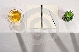 Tea cup, plant, notebook and pen on white background. Top view