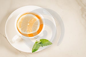 tea cup with a segment of a lemon and mint/tea cup with a segment of a lemon and mint on a white marble table. Top view and copy