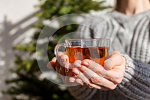 Tea cup in woman`s hand with Christmas tree at background