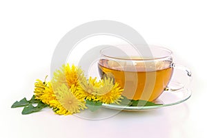 Tea dandelion