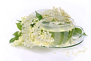 Tea elder flower