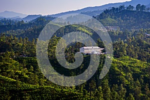 A tea factory, Sri Lanka