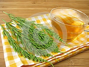 Tea with field horsetail photo