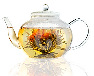 Tea Flower in a Clear Teapot