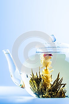 Tea Flower in a Clear Teapot