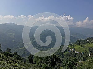 Tea garden and natural beauty of environmental cleanness. photo