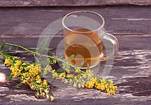 Tea in glass mug on wood background with goldenrod herb plant, Solidago virgaurea. Treats kidney and urinary tract diseases, impro