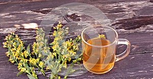 Tea in glass mug on wood background with goldenrod herb plant, Solidago virgaurea. Treats kidney and urinary tract diseases, impro