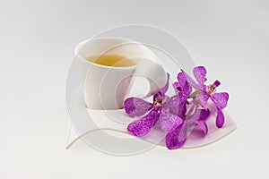 Tea glass and Pink mokara orchids isolated on white background