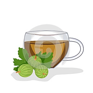 Tea with gooseberries in a glass cup, gooseberries are lying nearby. Vector illustration