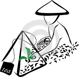 Tea harvest sign