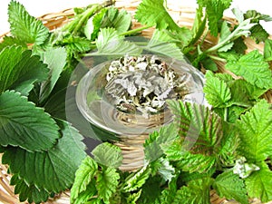 Tea herbs
