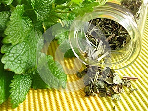 Tea herbs with balm