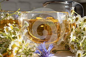 Tea with herbs, chamomile ingredient taste healthy lifestyle floral therapy organic aromatic