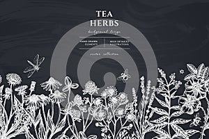Tea herbs hand drawn illustration design. Background with chalk chamomile, cinnamon rose, etc.