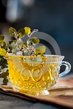 Tea of holy basil,tulsi,Ocimum tenuiflorum,in a transparent cup with leaves beneficial for heart diseases and stress.