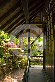 Tea House. Irish National Stud's Japanese Gardens. Kildare. Ireland