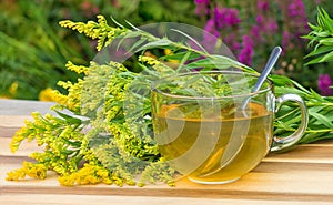 Tea or infusion of Goldenrot or Solidago. photo