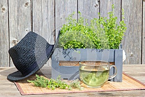 Tea or infusion of thyme.